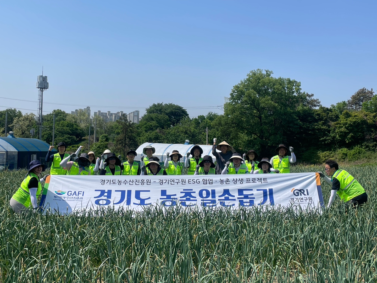 (2026.5.15.) 경기연구원 협업 농촌일손돕기
