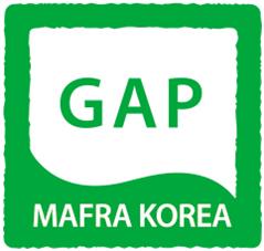 GAP02.jpg